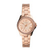 Bracelet de montre Fossil AM4578 Acier inoxydable Rosé 14mm